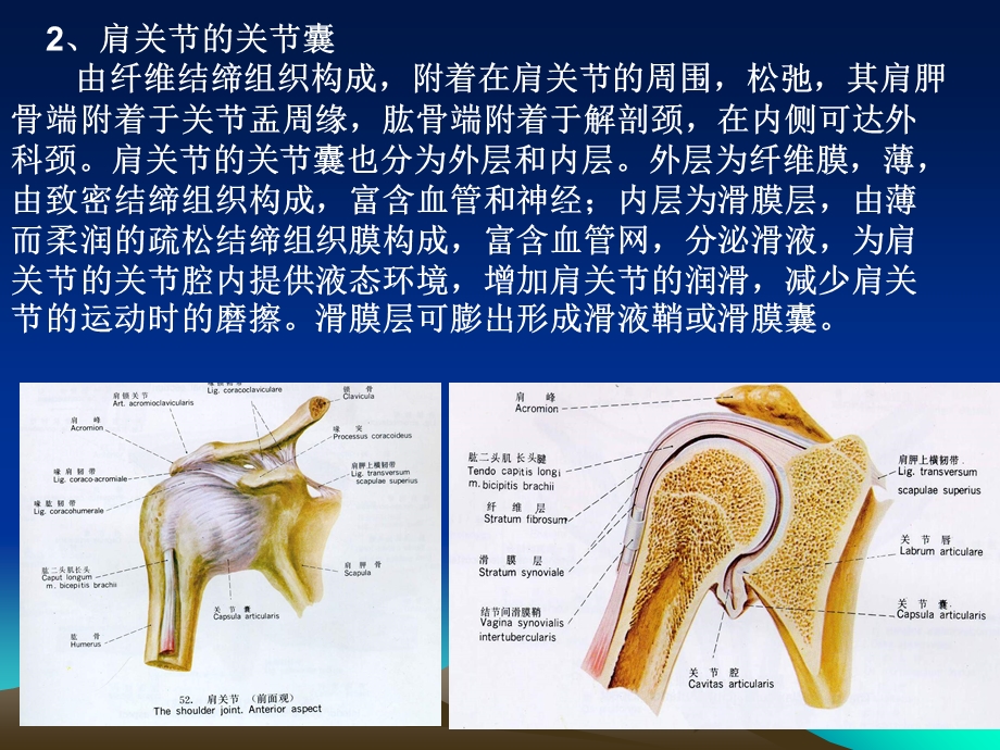 级临床系解实验三思考题PPT文档资料.ppt_第3页