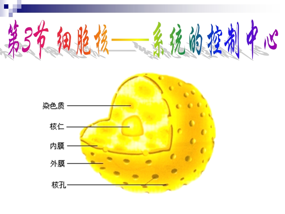 三3细胞核——系统的控制中心精选文档.ppt_第1页