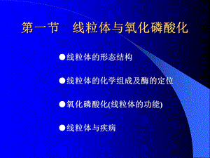 6细胞的能量转换线粒体和叶绿体文档资料.ppt