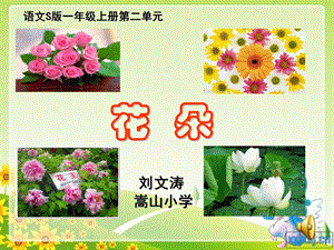 花朵课件.ppt