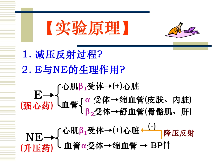 实验八心血管调节PPT文档.ppt_第1页