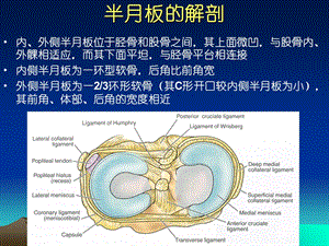 半月板损伤标准PPT课件文档资料.ppt