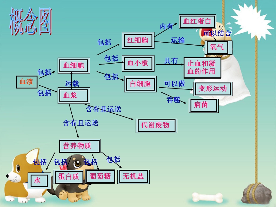 人体的血液循环文档资料.ppt_第2页