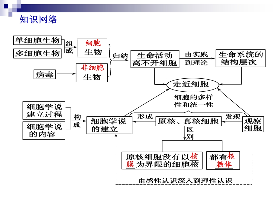 11走近细胞PPT文档.ppt_第3页