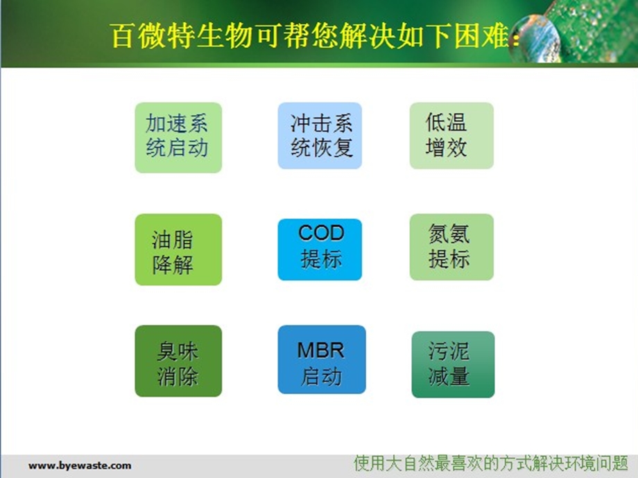 百微特微生物解决方案在污水处理中的应用名师编辑PPT课件.ppt_第2页