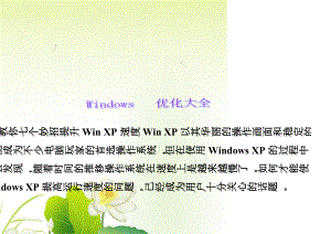 [计算机]Windows优化大全.doc