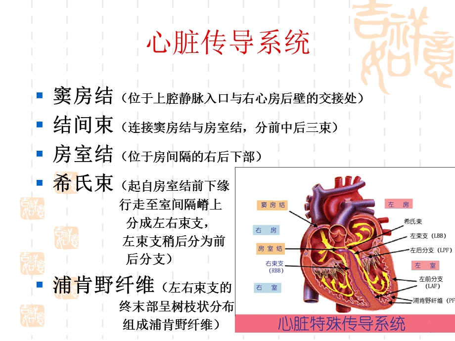 心脏传导阻滞及麻醉处理(王明德)名师编辑PPT课件.ppt_第2页