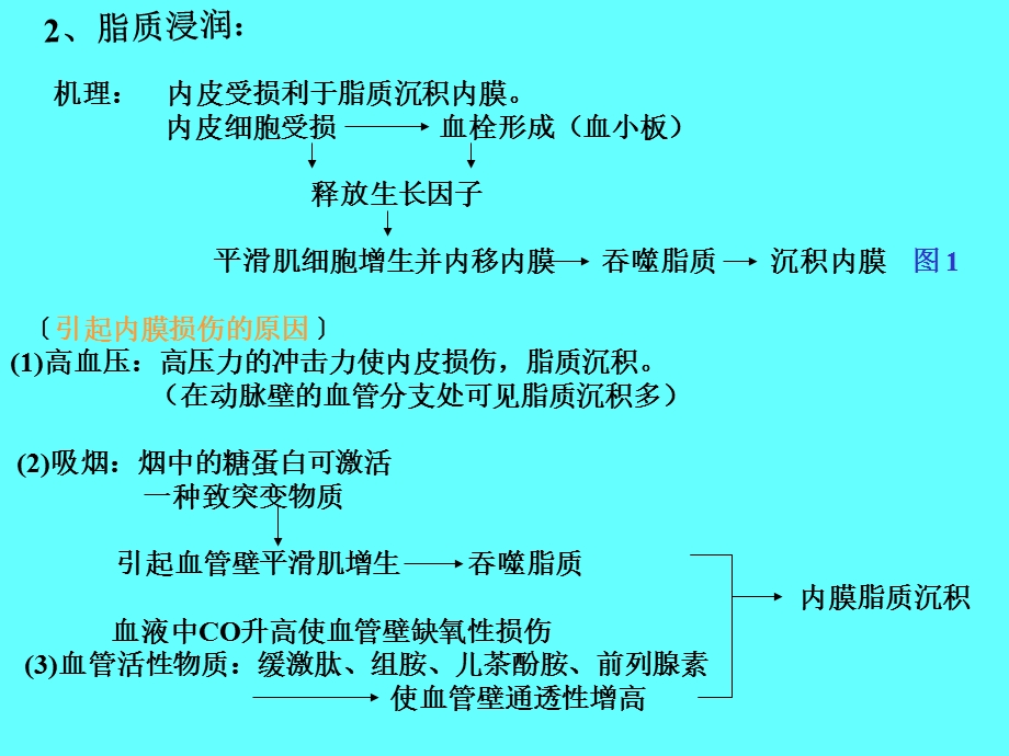 动脉硬化相关知识PPT文档.ppt_第2页