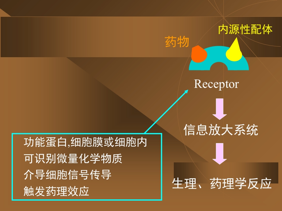 1药理学总论2PPT课件.ppt_第1页