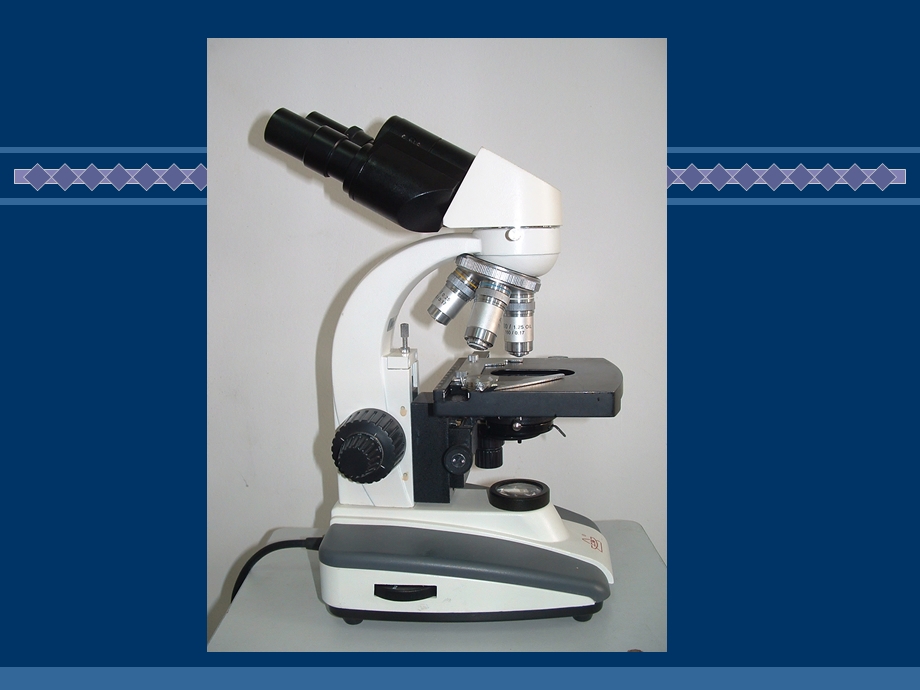 显微镜的使用与细胞形态的观察精选文档.ppt_第3页