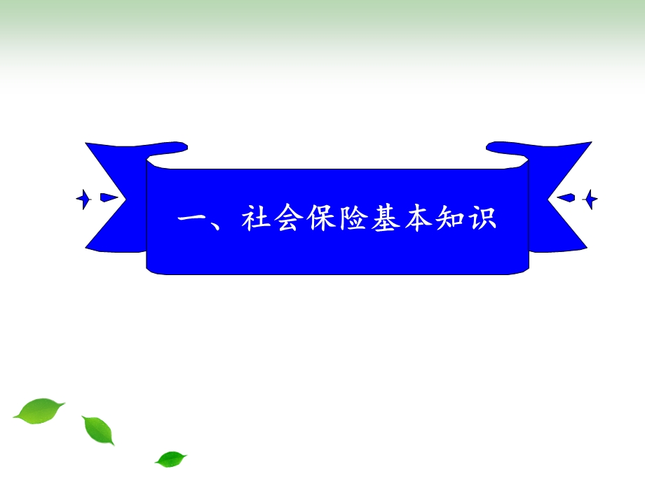 社保、养老保险、医疗保险、企业金.pptx_第3页