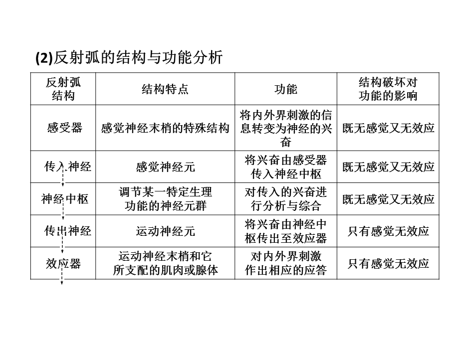 必修321通过神经系统的调节11版PPT文档.ppt_第2页