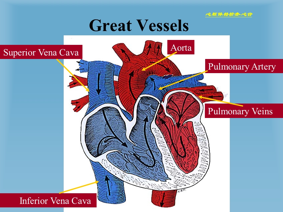 心脏体格检查名师编辑PPT课件.ppt_第2页