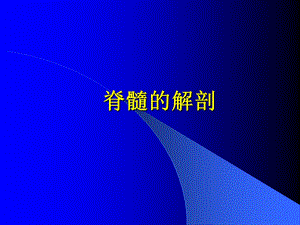 8脊髓疾病医大课件文档资料.ppt