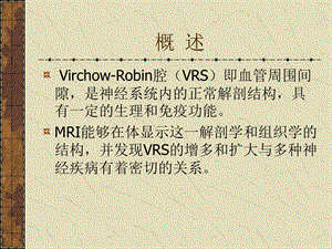 VirchowRobin腔与神经疾病文档资料.ppt