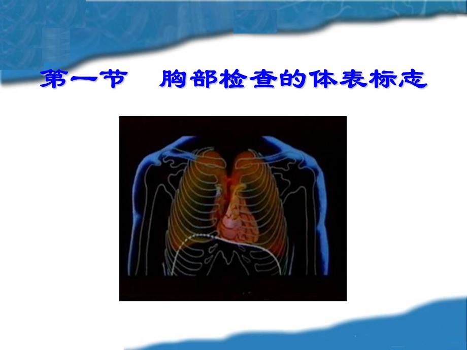1胸肺部检查胸部检查xsqPPT文档资料.ppt_第1页