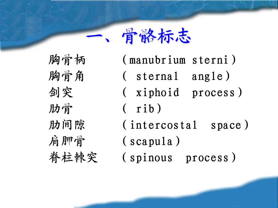 1胸肺部检查胸部检查xsqPPT文档资料.ppt_第3页