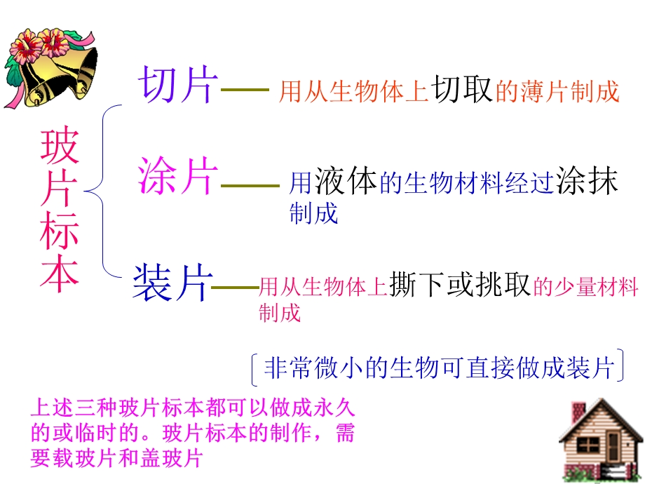 人教版七上第二单元+第一章第二节植物细胞.ppt_第3页