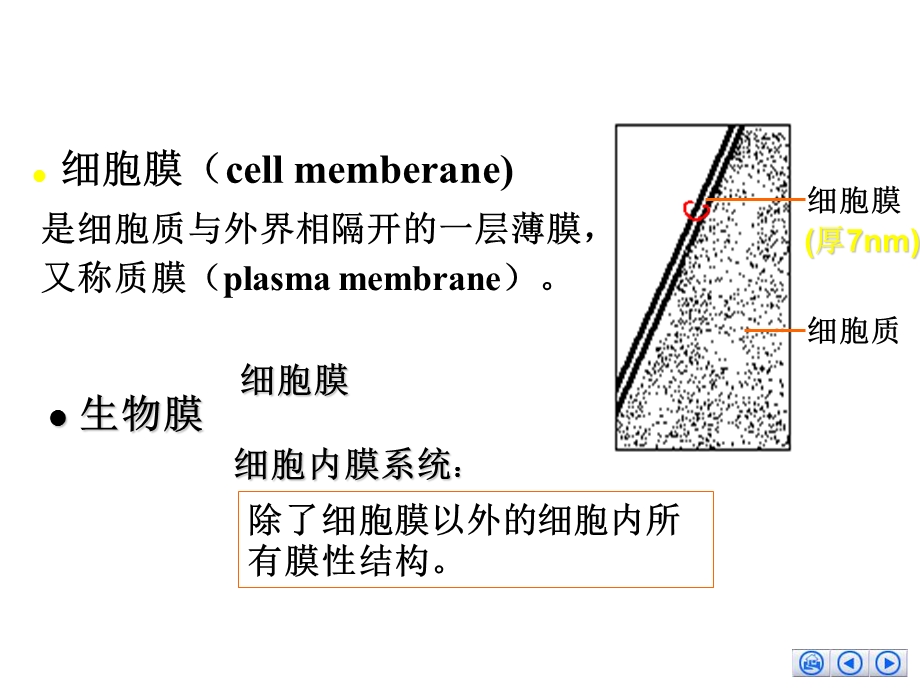 4细胞膜的分子生物学文档资料.ppt_第1页