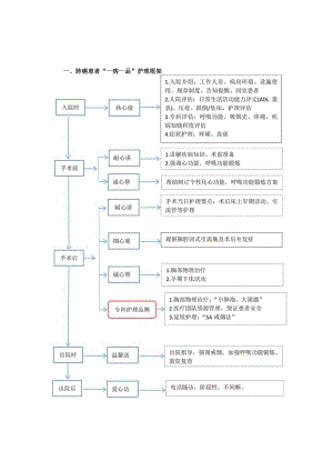 胸外科肺癌”一病一品“.docx