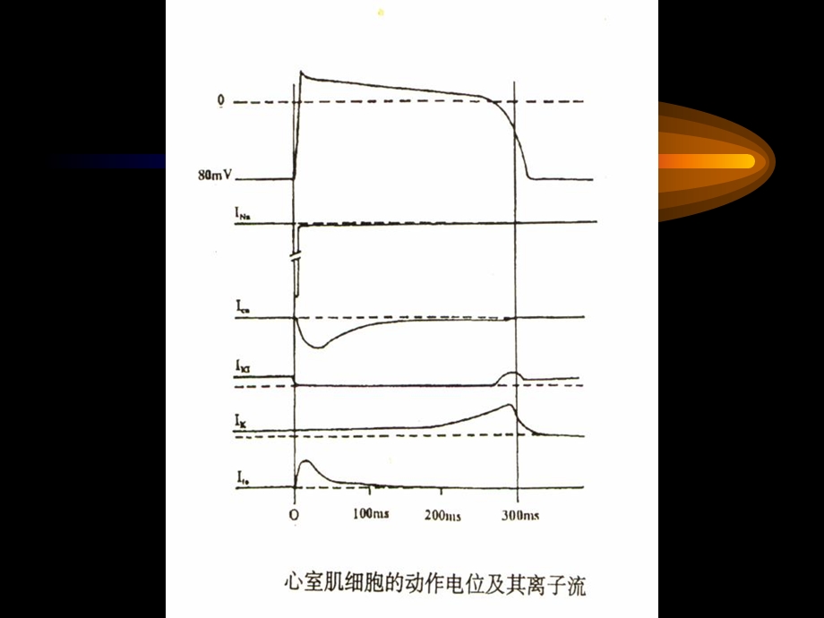 心律失常发生机理文档资料.ppt_第1页