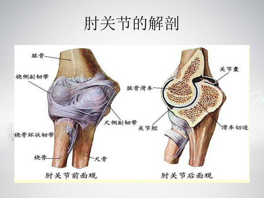 儿童肘关节读片修正稿ppt课件PPT文档.ppt_第3页