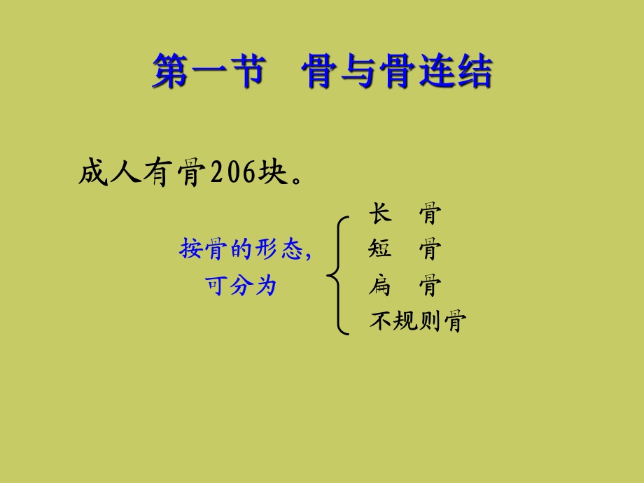 人体解剖生理学运动系统结构与功能文档资料.ppt_第1页