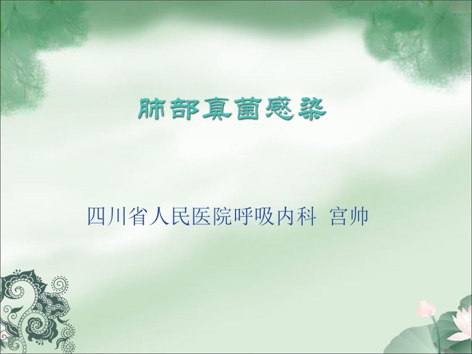 宫帅肺部真菌感染名师编辑PPT课件.ppt_第1页