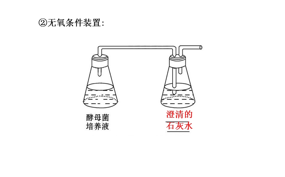 高中生物必修一第5章第3节ATP的主要来源——细胞呼吸PPT文档.ppt_第3页