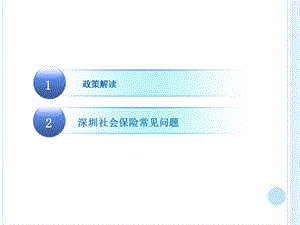 最新1.深圳医院医保政策培训5.0文档资料.pptx