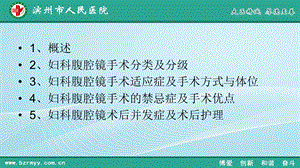 妇产科微创技术及护理新进展文档资料.ppt