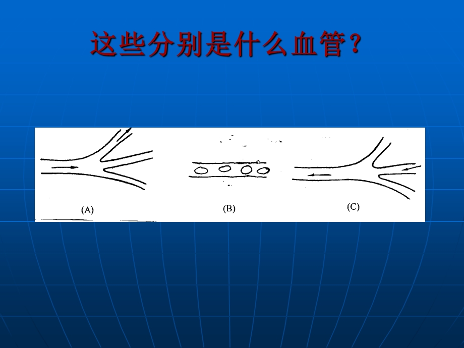 人教版生物七年级下册血管课件PPT文档.ppt_第3页