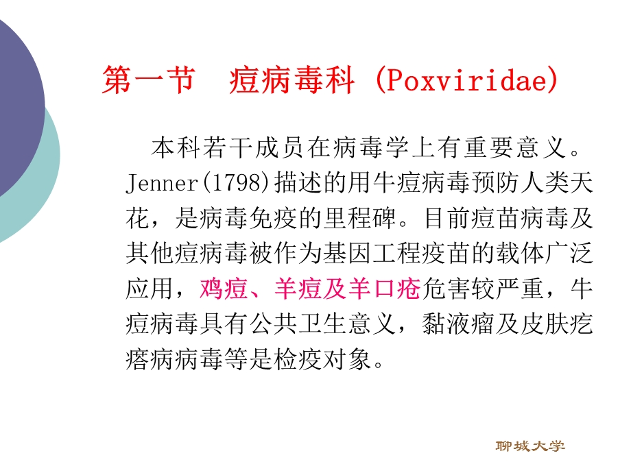 双股DNA病毒PPT文档.ppt_第1页