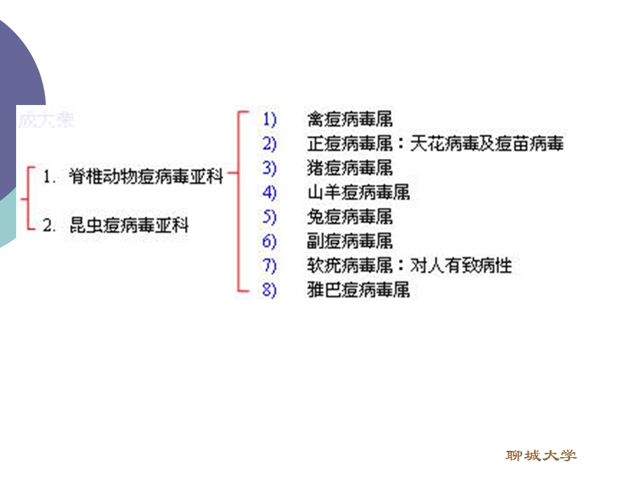 双股DNA病毒PPT文档.ppt_第3页