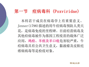 双股DNA病毒PPT文档.ppt