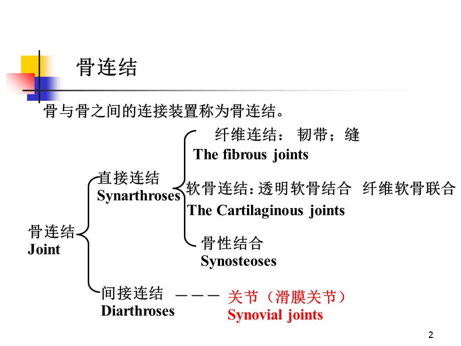 2关节学肌学总论文档资料.ppt_第2页