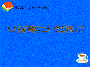 实际问题与二元一次方程组.ppt