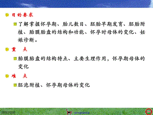 05第五章妊娠Pregnancy文档资料.ppt