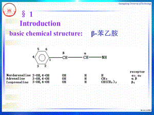 9第九章肾上腺素受体激动药文档资料.ppt