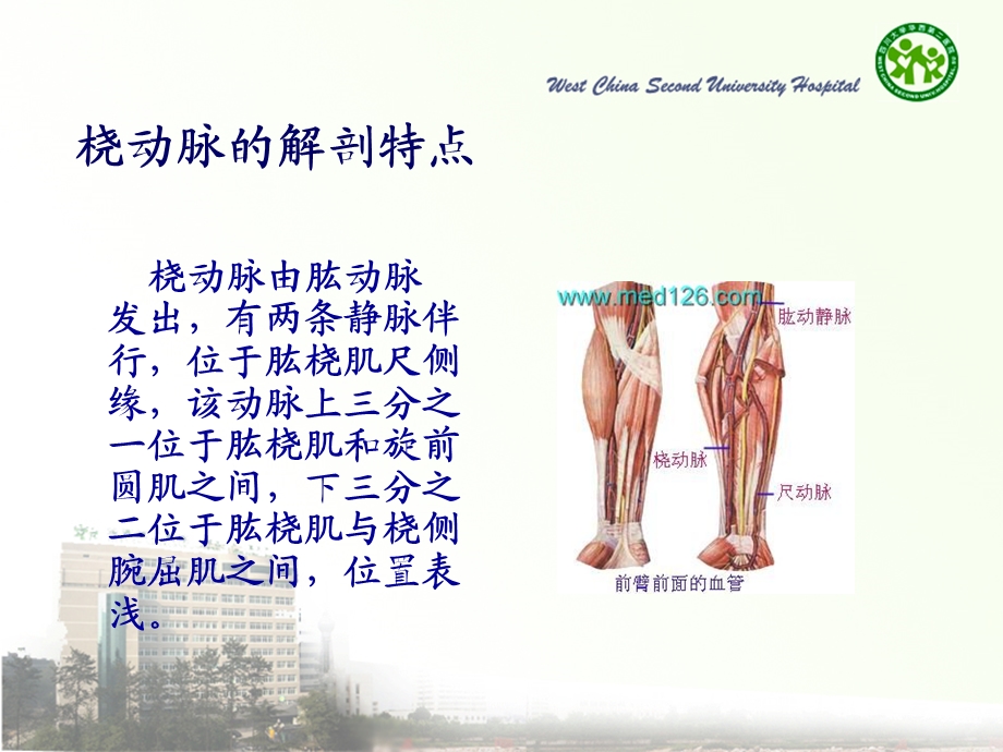 新生儿动脉穿刺技巧名师编辑PPT课件.ppt_第3页