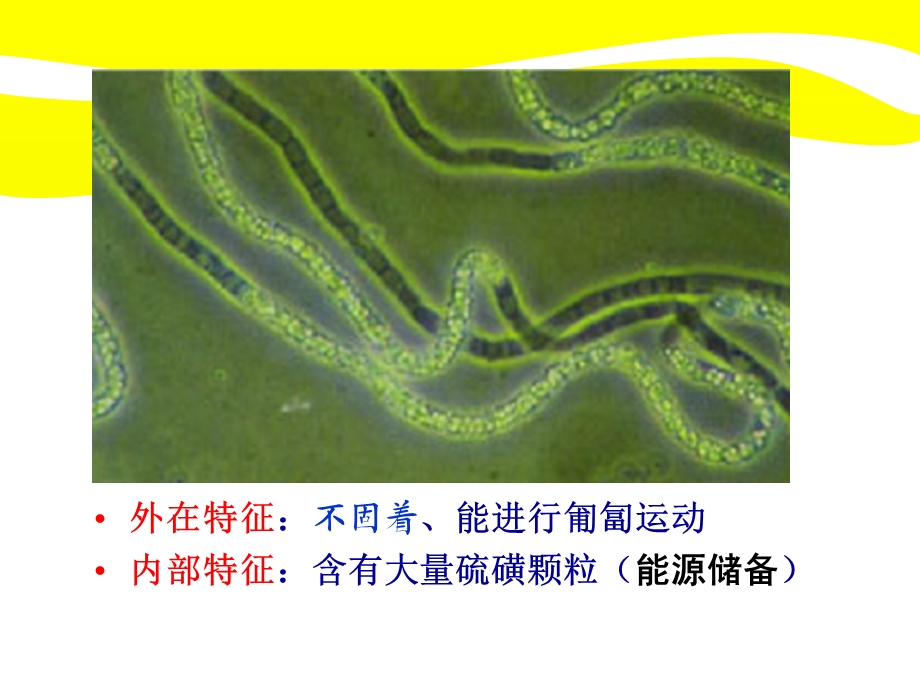 最新1细菌驯化的方法有哪三种PPT文档精选文档.ppt_第3页