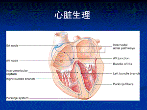 内科护理学心律失常PPT文档.ppt