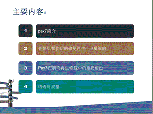 PAX7对肌肉损伤修复的重要作用文档资料.ppt