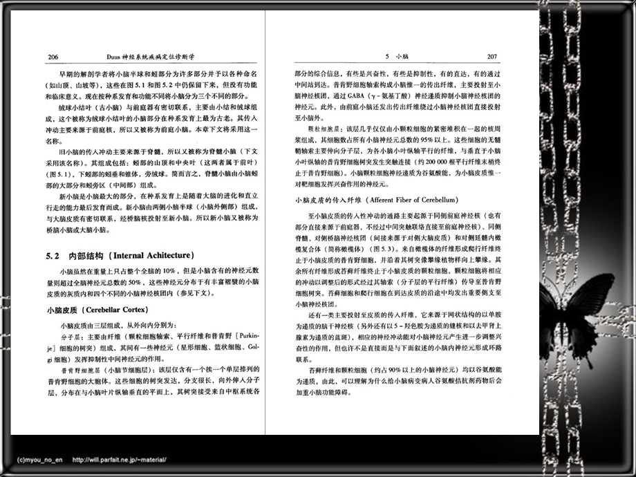 神经系统疾病定位诊断学0506小脑、间脑和植物神经系统名师编辑PPT课件.ppt_第2页