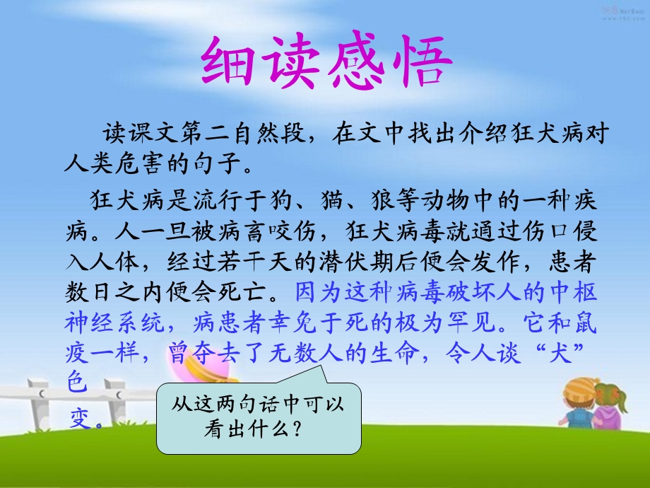 巴斯得征服狂犬病课件1.ppt_第3页