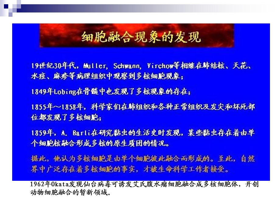 最新guan41细胞融合PPT文档.ppt_第3页