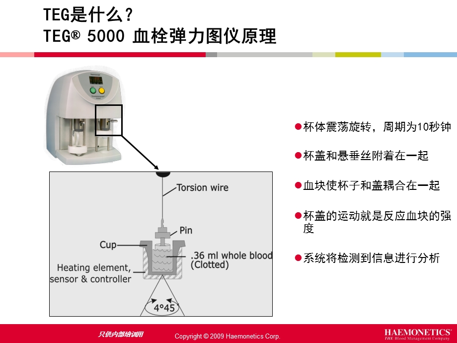 最新teg妇产科PPT文档.pptx_第3页