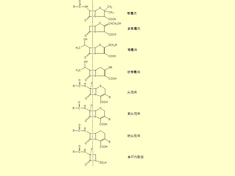 微生物药物学课件第5章－β内酰胺类抗生素精选文档.ppt_第1页