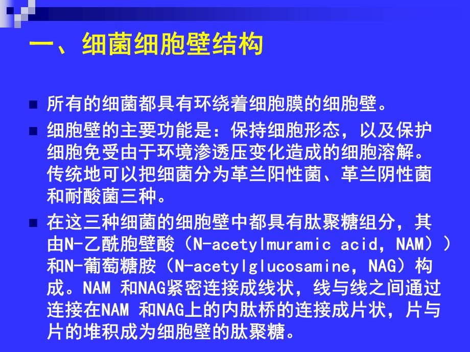 微生物药物学课件第5章－β内酰胺类抗生素精选文档.ppt_第3页