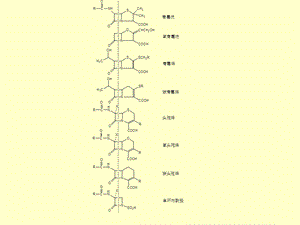 微生物药物学课件第5章－β内酰胺类抗生素精选文档.ppt